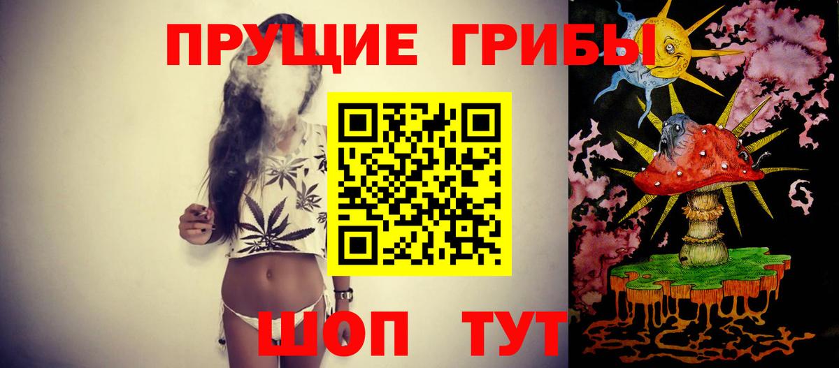 Псилоцибиновые грибы мицелий Набережные Челны