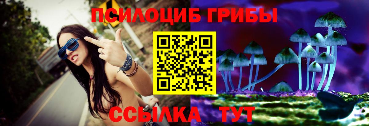 Набережные Челны  продажа наркотиков  Вход с VPN  Галлюциногенные грибы ЛСД  Галлюциногенные грибы MAGIC MUSHROOMS 